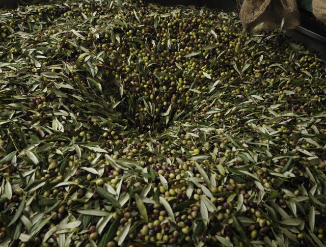 Ulei din masline Sitia Crete extravirgin PDO