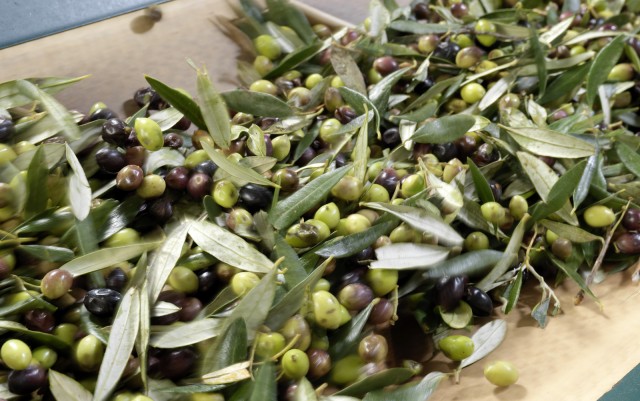 Masline mix (verzi&kalamata) intregi ECO